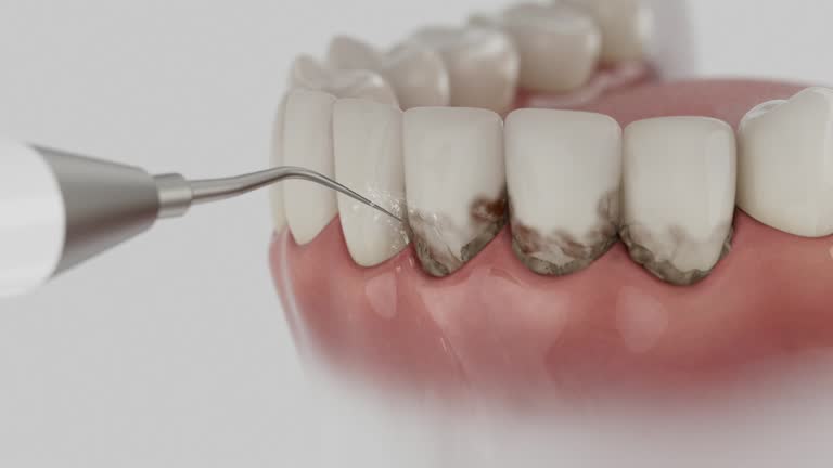 Reliable Dental contractor in South Lyon, MI by Dentist Open Now
